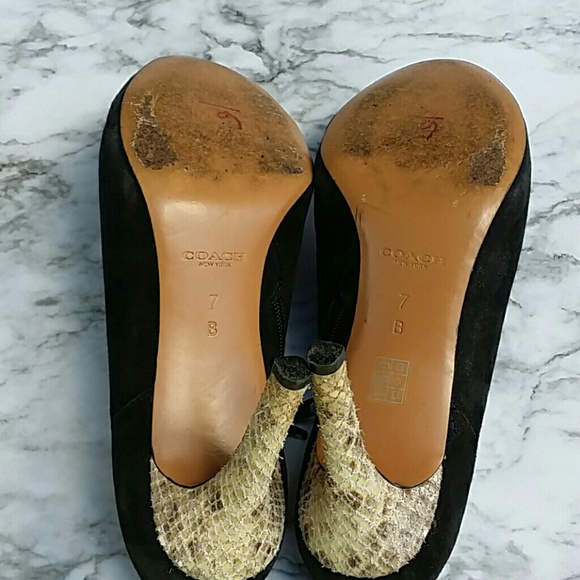 Coach Seneca Black Suede & Python Ankle Booties - Picture 5 of 7